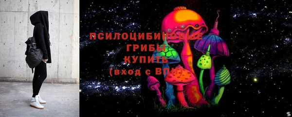 ECSTASY Богородицк