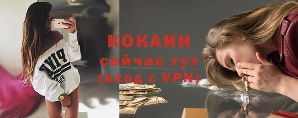крисы Беломорск