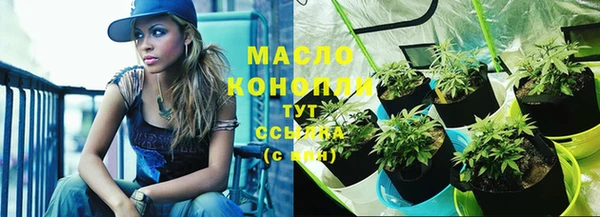 крисы Беломорск