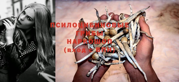 крисы Беломорск