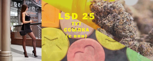 ECSTASY Богородицк