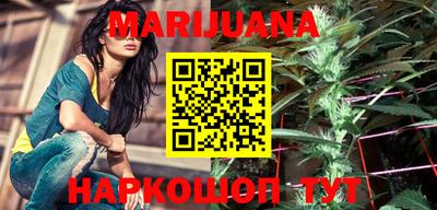 прущие крисы Кингисепп
