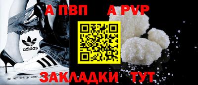 прущие крисы Кингисепп