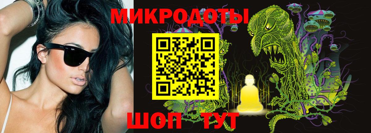 Псилоцибиновые грибы Psilocybine cubensis Свободный